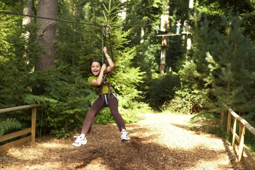 Go Ape near Callow Top Holiday Park