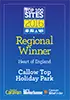 Top 100 Sites 2016 award